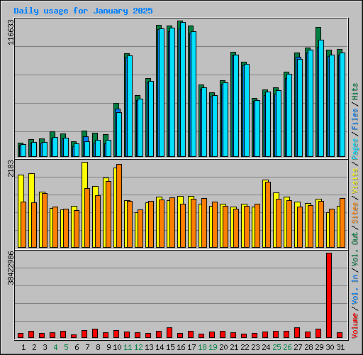 Daily usage for January 2025