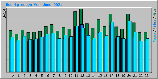 Hourly usage for June 2021