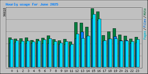Hourly usage for June 2025
