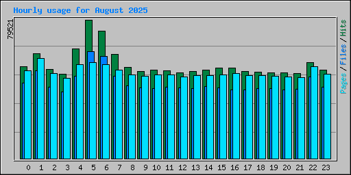 Hourly usage for August 2025