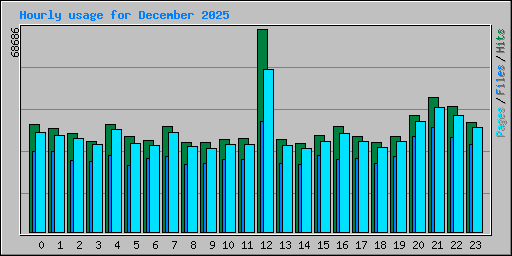 Hourly usage for December 2025
