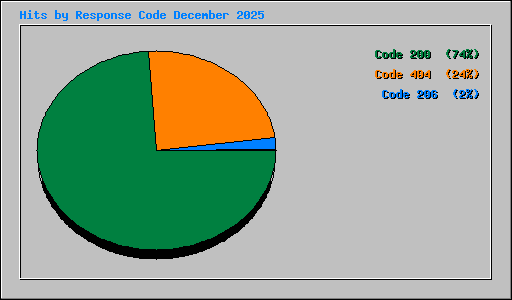Hits by Response Code December 2025
